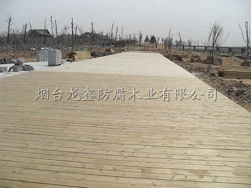 龙口黄河湿地公园